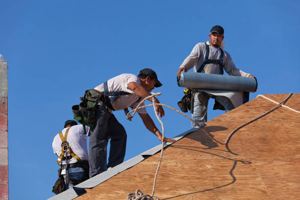 Quick and Trustworthy Emergency Roof Repair Services in Sebastopol, CA