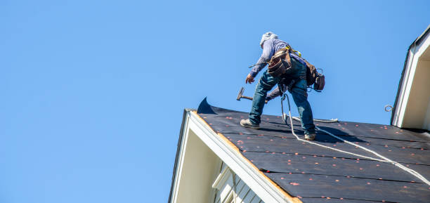 Roof Gutter Cleaning in Sebastopol, CA